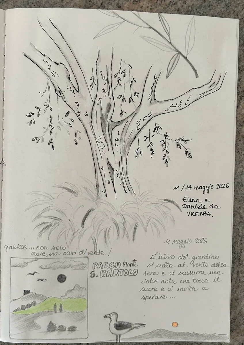 Guestbook page with a detailed pencil drawing of the olive tree in the garden, alongside a handwritten Italian note about the evening breeze.